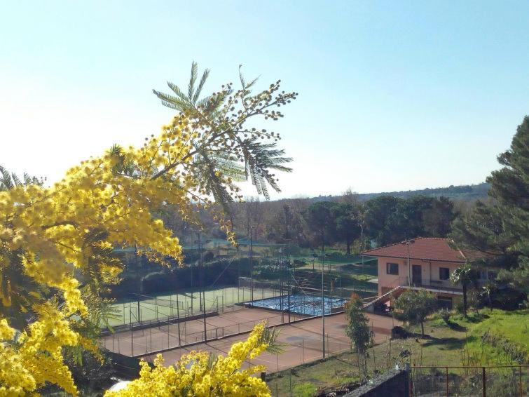 Villa Mimosa Zafferana Etnea Kültér fotó